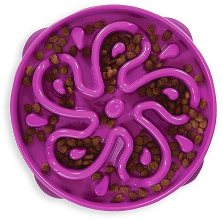 Kyjen Outward Hound Fun Feeder Slo Bowl - Anti-Schling-Napf - groß/normal - violett, L, 51003