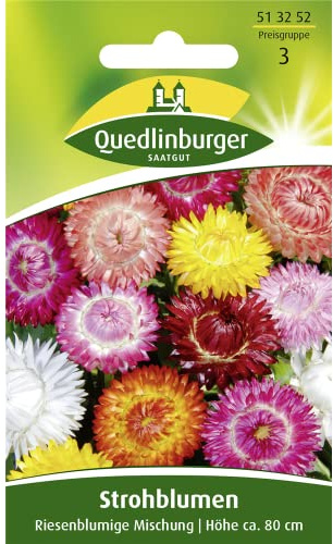 Strohblume, Riesenblumige Mischung