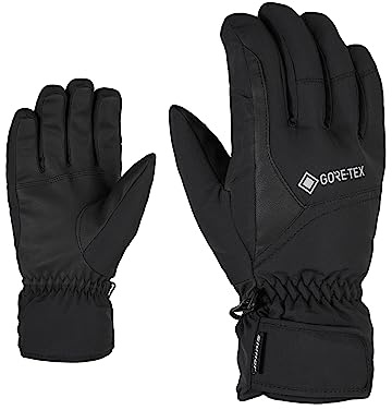 Ziener Erwachsene GARWEN GTX Ski-Handschuhe/Wintersport | Wasserdicht, Atmungsaktiv, Gore-tex, Black
