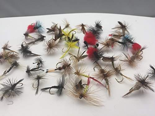 Fliegenfischen Trockenfliegen Auswahl mehr als 50 Fliegen für Forellen mit kostenloser Clipverschluss-Box #322