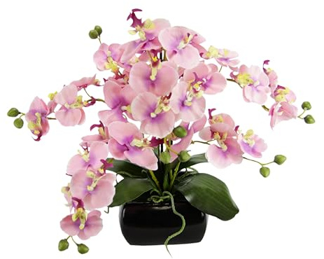 Kunstblume Schmetterling Orchidee 40cm mit Blätter und Luftwurzeln in Schale aus Keramik Künstliche Blume Kunstorchidee Phalaenopsis mit Übertopf Kunstpflanze Hochzeit Deko Seidenblume Real Blüte