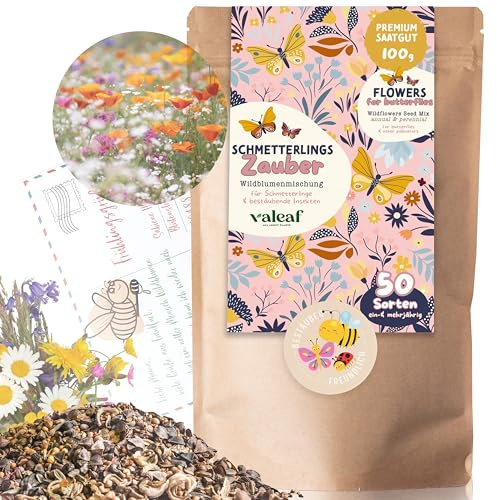 Schmetterlingswiese Blumensamen 100g für 50 m² - Bunte Wildblumenmischung für Schmetterlinge - Insektenfreundliche Blumen für Garten & Balkon