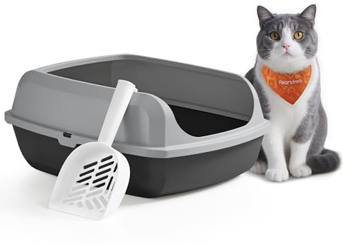 Feandrea Katzenklo mit hohen Seitenwänden, XL, offene Katzentoilette, mit Schaufel, für Kätzchen und große Katzen, schiefergrau PPT009GN01