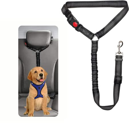 Sicherheitsgeschirr Hund - Anschnallgurt Hund Auto für Kleine Hunde Mittelgroße Hunde Welpen Zubehör (Schwarz)