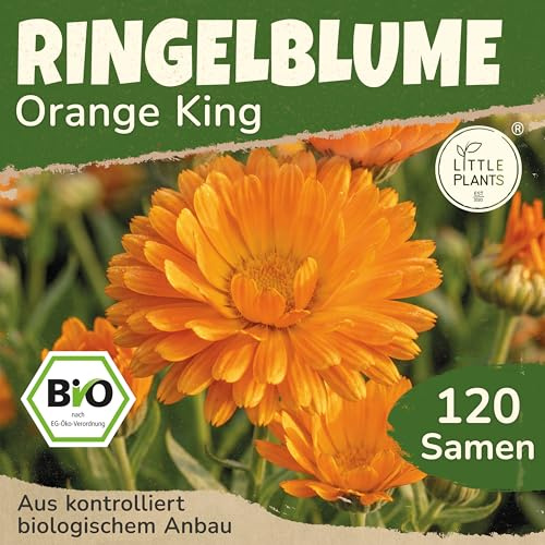 Little Plants BIO Ringelblume Samen 120 Ringelblumesamen Orange King Calendula Blumensamen Samenfest für Blumengarten Blumen Samen für Balkon und Garten