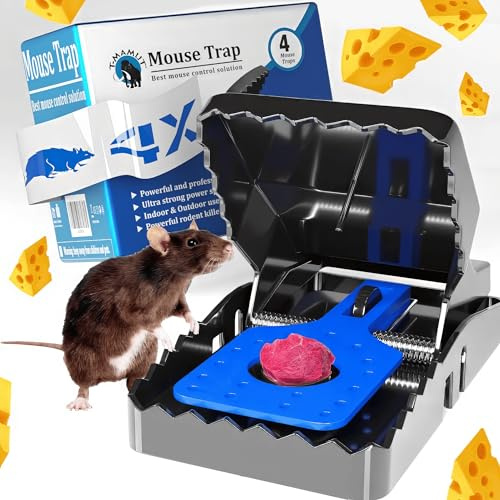 T-MAMUT Mausefalle 21cm Schlagfalle 4 Stück Profi Rattenfallen Effektive Schlagfallen Rattenfalle Groß Ratte Wiederverwendbar Mausefallen für Drinnen Draußen Maus Leistungsstark Ratten Fallen Große