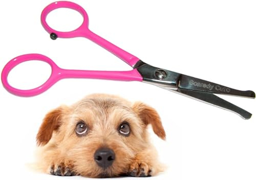 Scaredy Cut Kleine Fellpflege-Schere Tiny Trim mit runden Spitzen für Haustiere – 11,4 cm, pink, für Ohr, Nase, Gesicht, Pfote – für Katzen, Hunde, Haustiere