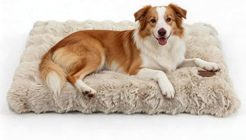 BingoPaw Hundebett Grosse Hunde waschbar: 90x60x10 cm Hundekissen flauschig Plüsch Hundematte für große mittelgroße Hunde, Hundematratze wasserdicht abnehmbar rutschfest, Beige, L
