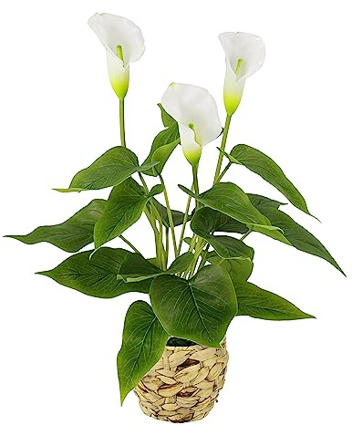 Callapflanze im Korb Kunstpflanze Calla weiße Blüten Kunstblumen Blume aus Kunststoff Unechte Künstliche Deko Gefälschte Topfblume Blumensträuße Seidenblumen Zantedeschia Aronstabgewächs Tribus Lilie