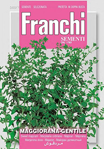 Franchi Sementi DBA88-1 Majoran Gentile (Majoransamen)