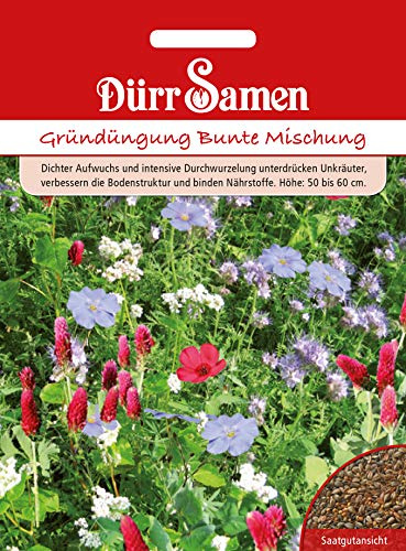 Dürr Samen 4338 Gründüngung Bunte Mischung 500g (Blumensamen)