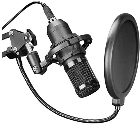 Mars Gaming MMIC-XT, Professionelles High Definition 192Khz 24-bit Studiomikrofon, Kugelarm, Anti Shock Mount, Pop Filter Metallgitter, Schwarz