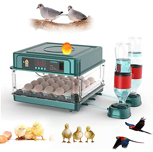 Brutautomat Vollautomatisch,Brutmaschine Vollautomatisch Hühner,Hühner Inkubator,12 Eierinkubator,mit Temperaturregelung und Feuchteüberwachung,Inkubatorgerät zum Schlüpfen von Huhn,Ente,Wachtel,Taube
