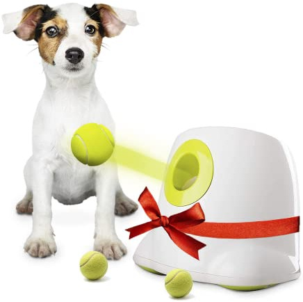 BOT Automatischer Ballwerfer für Hunde, inkl. 3Stk Hundebälle. Ballwurfmaschine Hunde für kleine Hunderassen. Interaktives Hundespielzeug für zu Hause und draußen (Ifetch Mini 5cm)