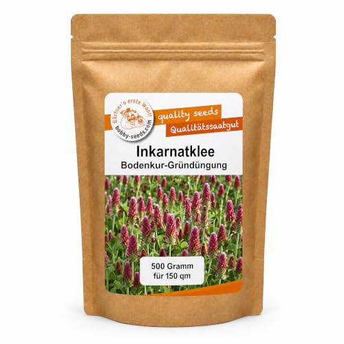 Gärtner's erste Wahl! Bobby-Seeds Inkarnatklee 500 g für ca. 150 m², Saatgut ohne Gentechnik, Gründüngung und Winterbegrünung, Bienenweide, Stickstoffsammler für Starkzehrer