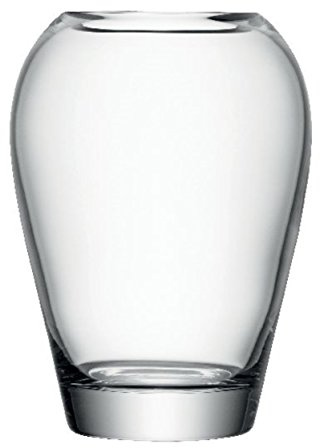 LSA International Flower Garten Strauss Vase, Glass, Clear, Höhe 25 cm