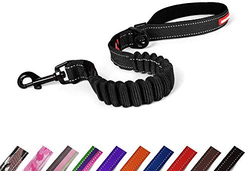 EzyDog Hundeleine für Große, Mittelgroße Hunde - Elastische Leine mit Bungee Ruckdämpfer - 'Zero Shock' Leine für Hunde Reflektierend, Verstellbar (64cm, Schwarz)