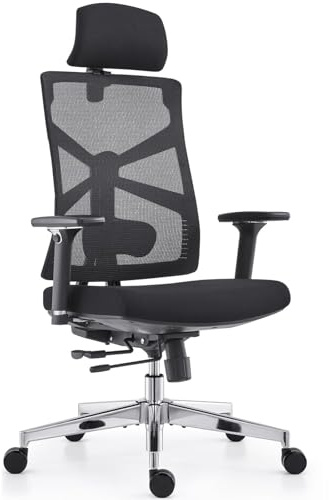 HOLLUDLE Ergonomischer Bürostuhl mit Adaptiver Rückenlehne, Schreibtischstuhl mit 4D Armlehnen, Verstellbarer Sitztiefe, Lendenwirbelstütze und 2D Kopfstütze, Atmungsaktiver Netz-Chefsessel, Schwarz