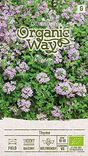 Organic Way | THYMIAN samen | Pflanzesesamen | Thymiansamen | Mehrjährige bienenfreundliche Heil-, Gewürz-, Zierpflanze | 1 Pack