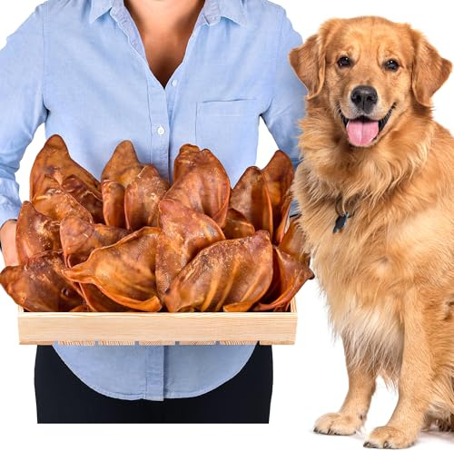 Lovely Dog | Schweineohren für Hunde 20 Stück (800g) | Ganze getrocknete Schweineohren Kauartikel | 100% natürlich | Langanhaltender Kauspaß | Getreidefrei | Ideal für kleine & große Hunde