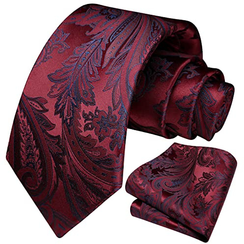 HISDERN Krawatte Herren Burgundy Paisley Krawatten für Männer Krawatte und Einstecktuch Set Krawatten Rot
