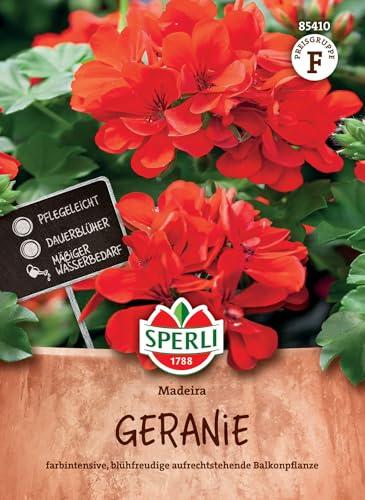 Sperli Geraniensamen Madeira F1 85410, Blumensaat | Aufrechtstehende Balkonpflanze, Wuchshöhe 30 cm, Aussaat ab Dezember bis März, für Beet, Rabatte & Kübel