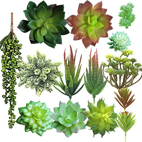 Aisamco 14 Künstliche Sukkulenten Mix Set | Perlenkette, Liebhaber Tränen, Echeveria, Küsten Cottage, DIY, Künstliche Pflanzen, Miniatur