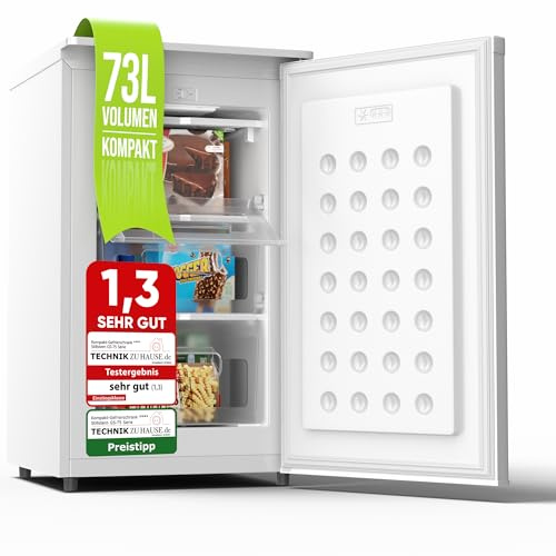 Stillstern Gefrierschrank Klein (73L) 4-Sterne-Gefrierfach -18°C ger. Energiever. Mini Freezer mit 3 Fächer, stufenlos reg. Temp., kleine Tiefkühltruhe, Türanschlag r./l. Tiefkühlschrank R600A Weiß