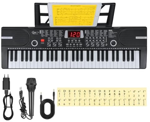 Hricane Kinder home-keyboards mit begleitautomatik, 61 Tasten Keyboard Piano mit Mikrofon für Anfänger Jungen Mädchen, elektrisches klavier e Pianos, Schwarz HEP-612S