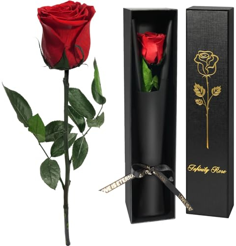 Yamonic Muttertagsgeschenk Ewige Rose Geschenke für Frauen,Infinity Rose mit Stiel Muttertagsgeschenke für Mama, Echte Rose in Geschenkbox,Konservierte Blumen Geschenk Muttertag Valentinstag,Rote Rose