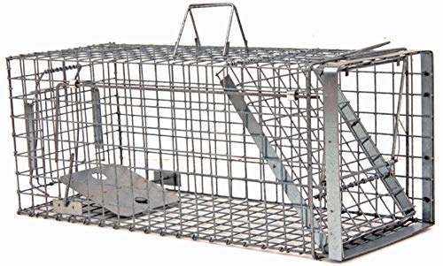 Holtaz Hardy Super Starke Falle Marderfalle Katzenfalle Fuchsfalle Biberfalle Tierfalle Kastenfalle Drahtfalle Waschbärfalle 1 Tür, Größe: 102x34x34 cm Mit Extra Köder