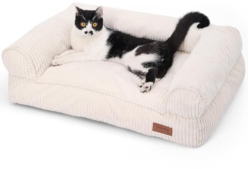 FUKUMARU Katzensofa Bett, Corduroy Gemütliches Katzenbett für drinnen mit abnehmbarem waschbarem Bezug, Stützendes Anti-Rutsch Hundebett Sofa für kleine Hunde, 72 x 52 x 22 cm, Mittel, Creme