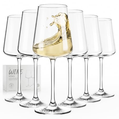 S SALIENT Gläser Weißweingläser Kristallglas 491 ml, 6er-Set | Weißweingläser und Weißweinkelche für Weißwein und volle Aromaentfaltung, aus Kristallglas, stoßfest & spülmaschinengeeignet