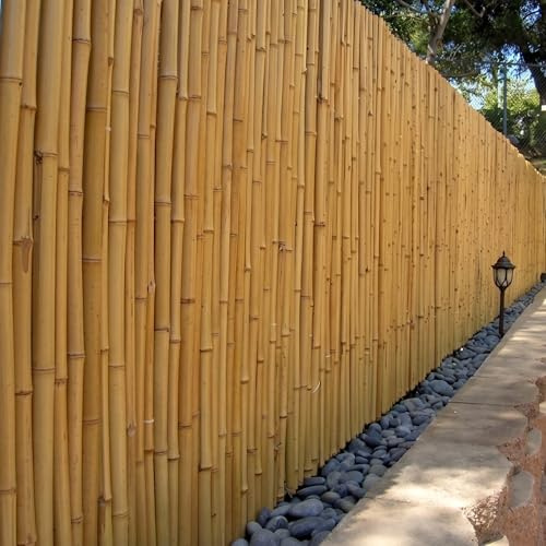 DE-COmmerce heller Bambus Zaun Sichtschutz ATY Nature, oben geschlossen, Rollzaun, Gartenzaun, Sichtschutzzaun für Garten, Terrasse, Balkon (HxB) 180 cm x 180 cm