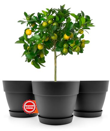 BigDean 3 Stück Blumentopf mit Untersetzer rund ø47 cm in Anthrazit – Übertopf innen + außen geeignet – aus bruchsicherem Kunststoff & Made in Europe