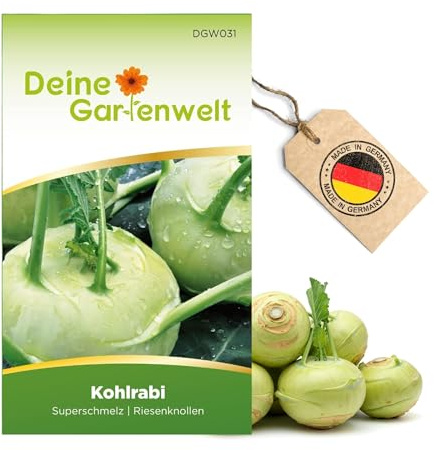Kohlrabi Superschmelz Samen – Kohlrabi Samen - Brassica oleracea – Gemüsesamen Saatgut für ca. 80 Pflanzen – zarter Kohlrabi für Garten & Hochbeet