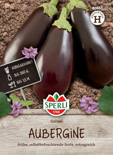 Sperli Auberginensamen Galine, F1 - Hochertragreiches Saatgut für Gemüse, Kübelgeeignet, Violett-Schwarze Früchte, Artischocken & Aubergine Set für Hochbeet & Garten