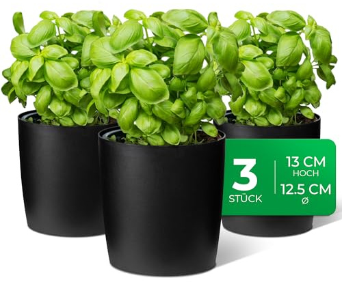 Novaliv Stilvolle 3er Set Kräutertopf aus Kunststoff Schwarz für Jede Fensterbank, frische Küchenkräuter, Kräutergarten für die küche, Kräuterbeet Indoor, Zimmerpflanzen, Pflanzentopf, Pflanzschale