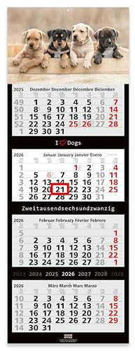 Geiger-Office 4-Monats-Wandkalender 2026 Hunde Großformat 33 x 90 cm mit attraktivem Hunde -Bildmotiv