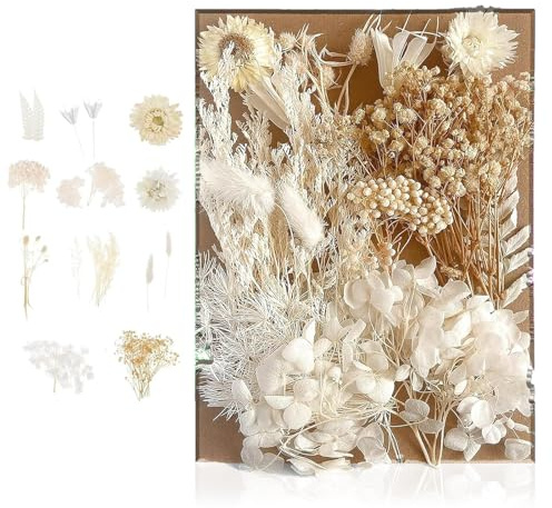 Getrocknete Blumen, Trockenblumen zum Basteln Natürliche Klein Trockenblumen Deko Dried Flowers für Kunst DIY Scrapbooking Handwerk Karten Machen(Weiß)