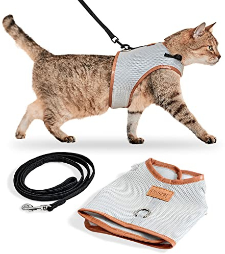 PiuPet® Katzengeschirr mit Leine (M) - Ausbruchsicheres Geschirr - Grau | Atmungsaktives Mesh-Material, inkl. 1,2 m Katzenleine, Klettverschluss & Klickschnalle für Kitten & kleine Hunde