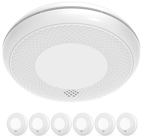 RUNIDUR Rauch und CO Melder Standalone，Flacher Kombinationsmelder，6 Stück | Kombination ohne Bohren Rauchmelder und Kohlenmonoxid Melder, 10 Jahre Batterie, nach EN14604 & EN50291 Standard Zertifiziert
