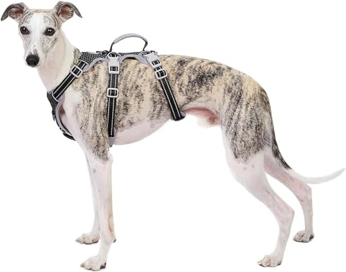 Huntboo Hundegeschirr Ausbruchsicher,Reflektierendes Ganzkörpergeschirr mit Tragegriff,Verstellbare Weste Ohne Zug mit Weicher,Atmungsaktiver Polsterung und Leinenclip für Große Hunde(Schwarz,XL)