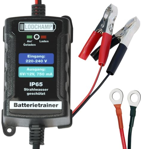 LODCHAMP 146303 Battery Trainer 6 V/12 V-750 mAh IP65 Wartungsladegerät Batterieladegerät Wartungsladegerät für Auto, Motorrad, Quad, ATV, Boot, Silber