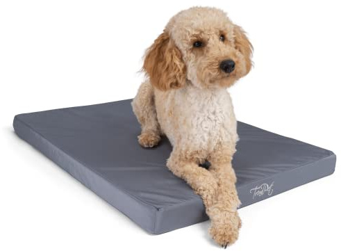 TrendPet VitaMedog Wasserabweisende orthopädische Matratze für Hunde (75x55cm)
