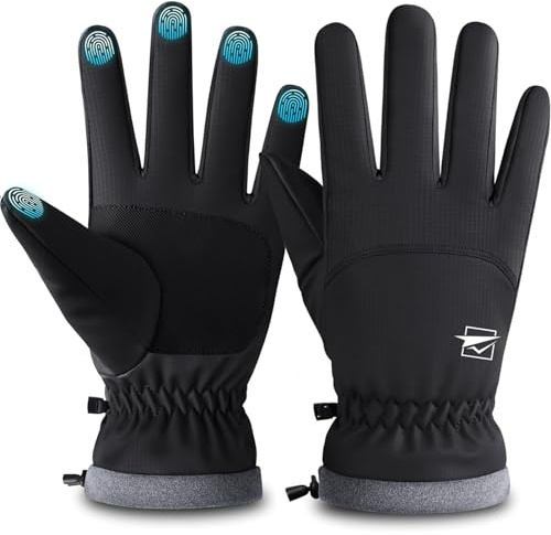 Cevapro Winterhandschuhe Herren Damen Thermo Handschuhe Wasserdicht Winddicht mit Touchscreenhandschuhe Extra Dickem Fleece Für Snowboard Ski rutschfeste Wandern (-25°C), Schwarz, L