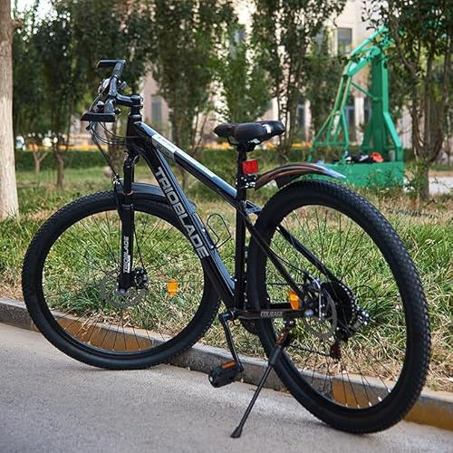 LSBIKE 24/26/27,5/29 Zoll Premium Mountainbike, 21 Gang Schaltung Erwachsene Outdoor Fahrrad, Gabelfederung, Doppel Scheibenbremsen, Verstellbarem Ergonomischen Sitz, MTB Fahrrad (Schwarz, 29 Zoll)