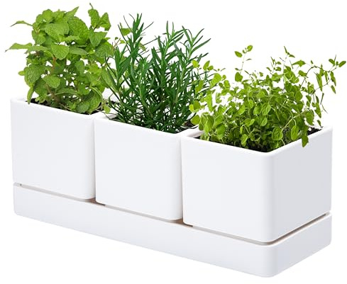 D'vine Dev Kräutergarten Pflanzgefäß Set, Kunststoff Pflanztöpfe mit Drainage und Untersetzer, Indoor Sukkulenten Kaktus Gemüsetopf für Fensterbank, Garten Balkon, Weiß, 1er Set, 76-V-A-1