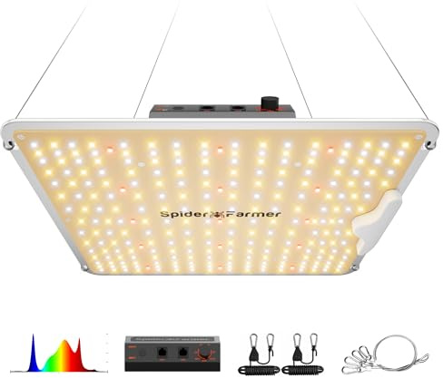 Spider Farmer SF1000 LED Grow Lampe Dimmbar Vollspektrum 60x60/90x90cm Zelt | Neueste Generation 100W Pflanzenlampe & Grow Light mit 2.5 System-PPE & hocheffizienten Dioden für Sämlinge, Gemüse & Blüte