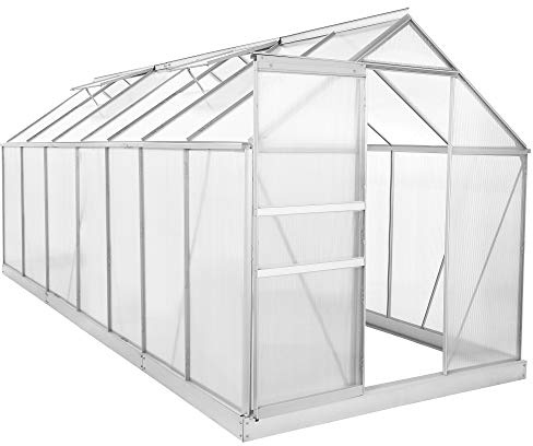 Zelsius Aluminium Gewächshaus für den Garten | inklusive Fundament | 430 x 190 cm | 6 mm Platten | Vielseitig nutzbar als Treibhaus, Tomatenhaus, Frühbeet und Pflanzenhaus